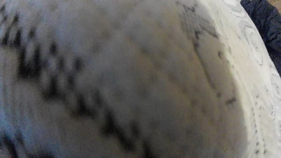 BigGinnger from United States